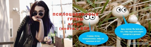 Альфа ПВП Ельня