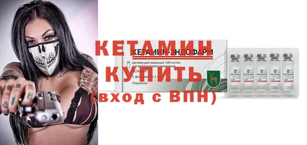 индика Козельск