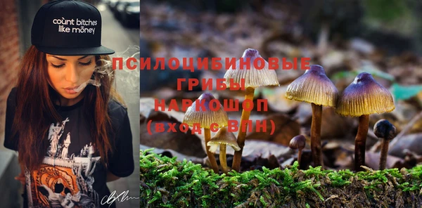 бошки Елабуга