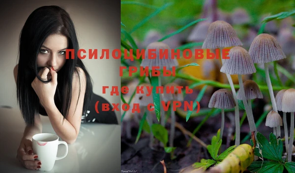 индика Козельск