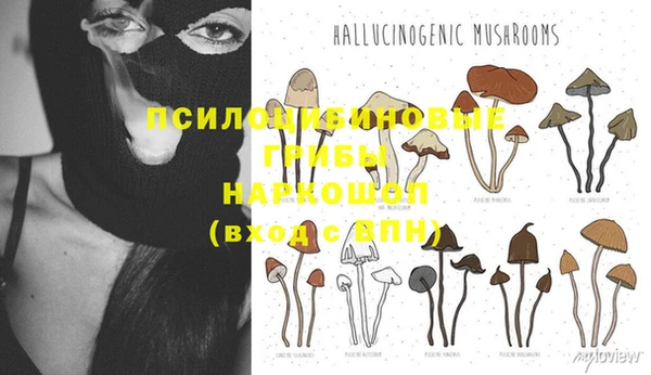 Альфа ПВП Ельня