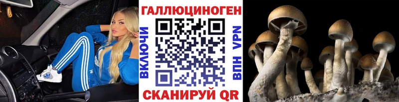 Псилоцибиновые грибы мицелий  цены наркотик  Зубцов 